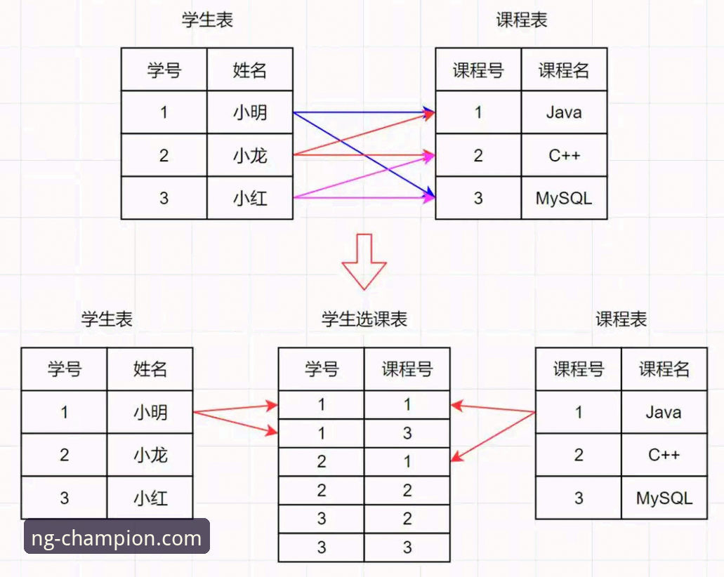 NG体育手机版使用指南：从安装到实战的完整操作教程