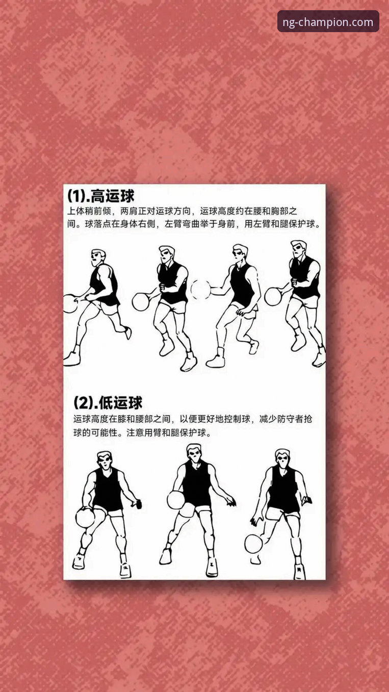 NG体育平台最新动态：新手必看的下载教程与实用技巧全解析